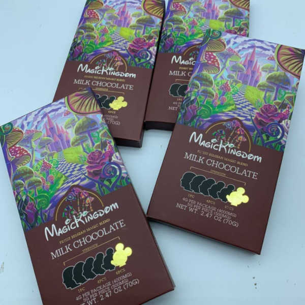 magic kingdom milk chocolate bar